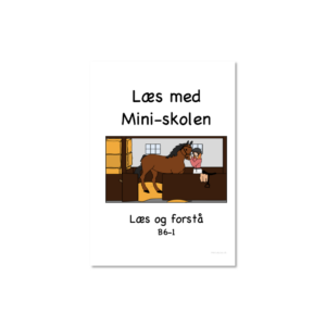 Læs og forstå - B6-1 (Print selv)
